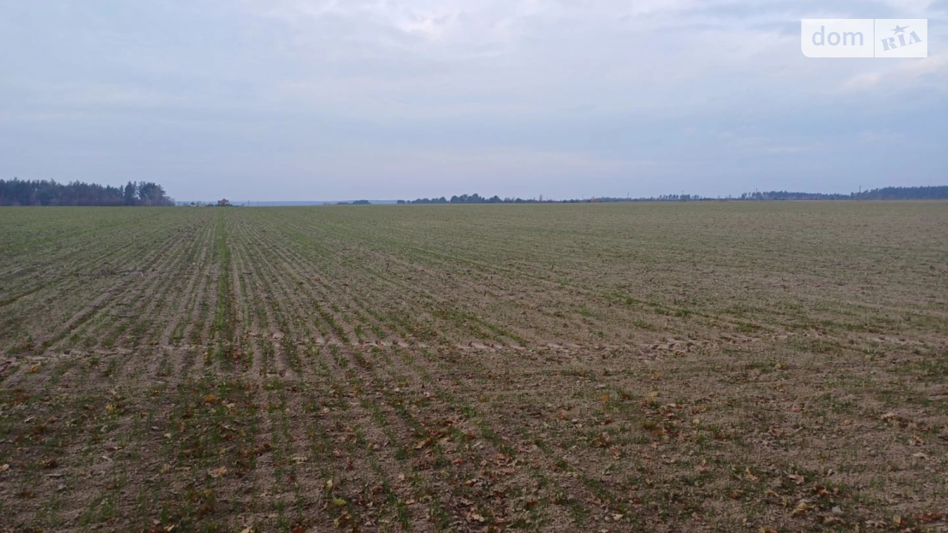 Продается земельный участок 302.25 соток в Киевской области, цена: 160000 $ - фото 4
