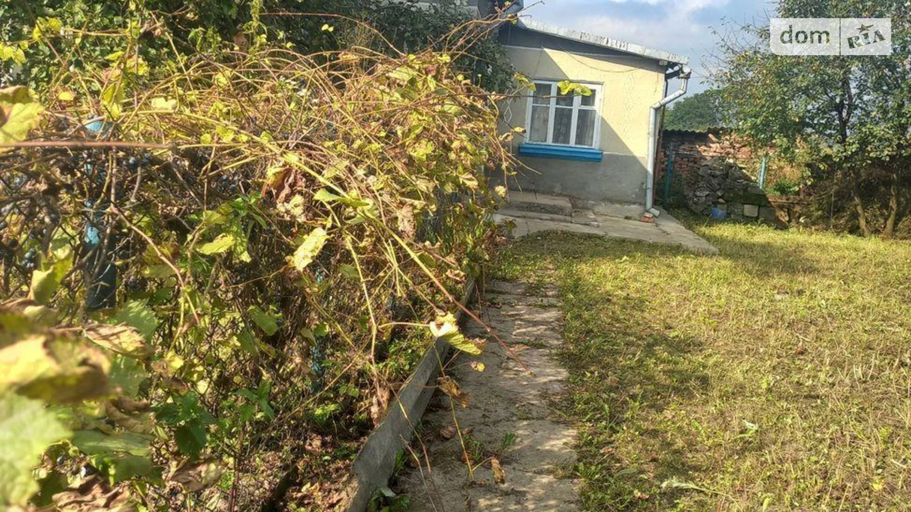 Продается одноэтажный дом 126 кв. м с подвалом, цена: 32000 $ - фото 3