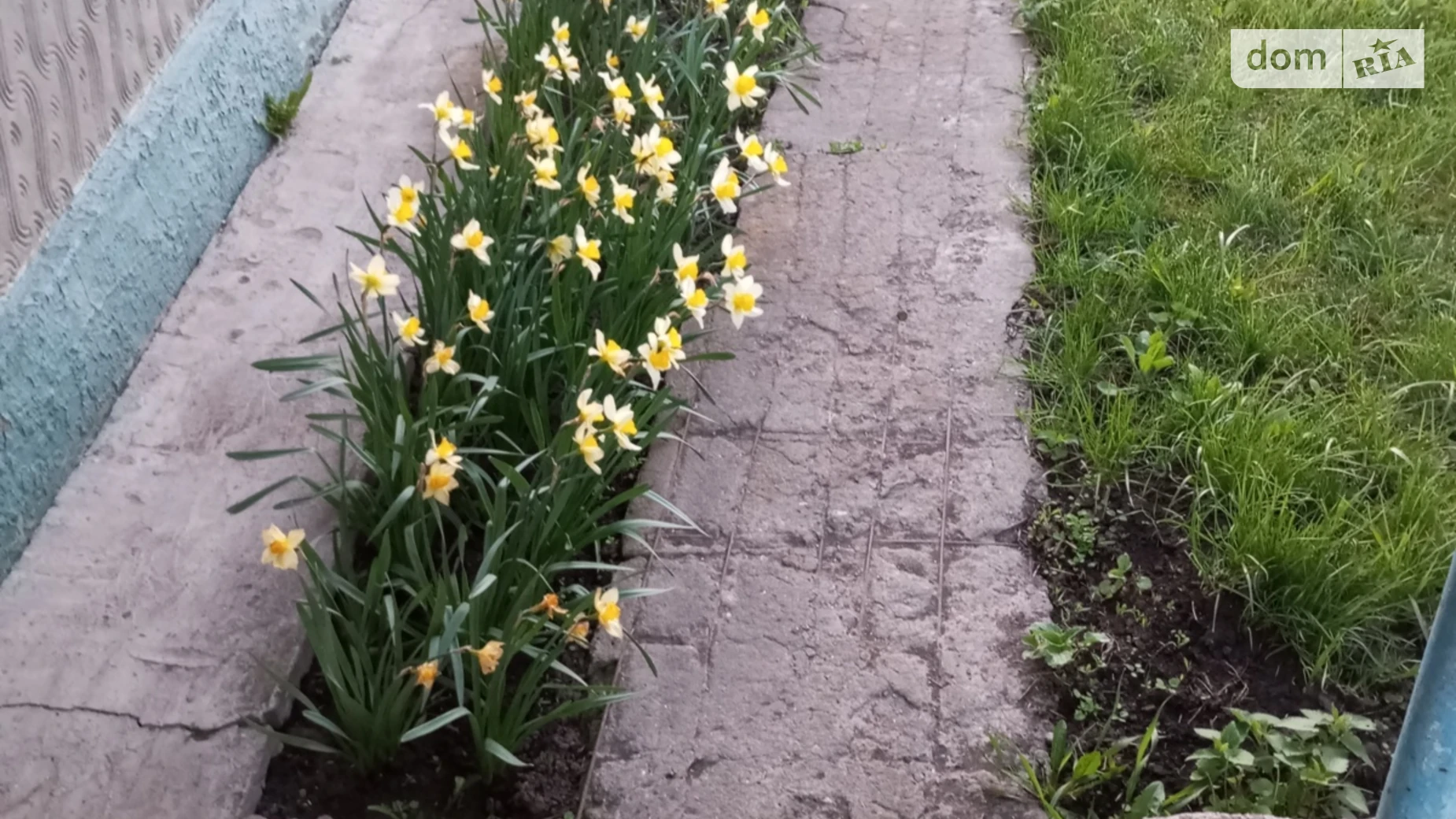 Продается одноэтажный дом 55 кв. м с камином, цена: 2500 $ - фото 4