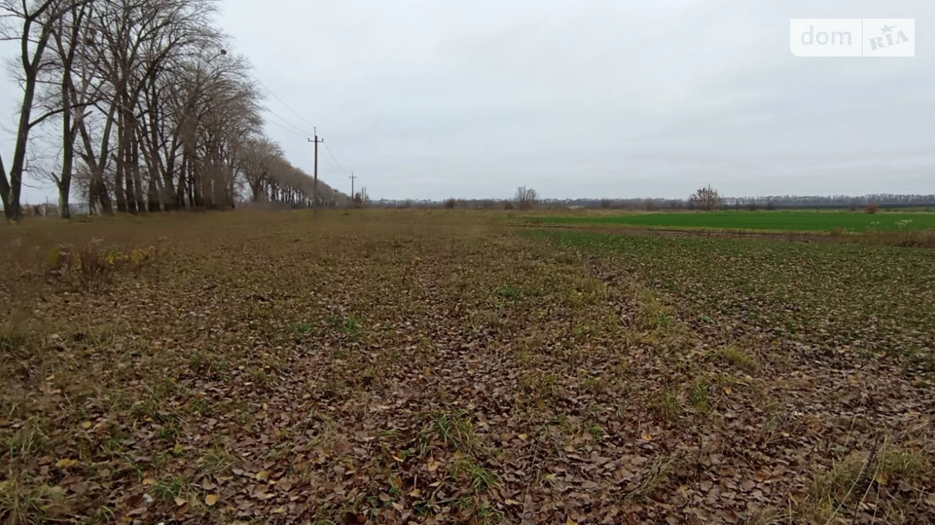 Продается земельный участок 20 соток в Винницкой области, цена: 14000 $ - фото 4