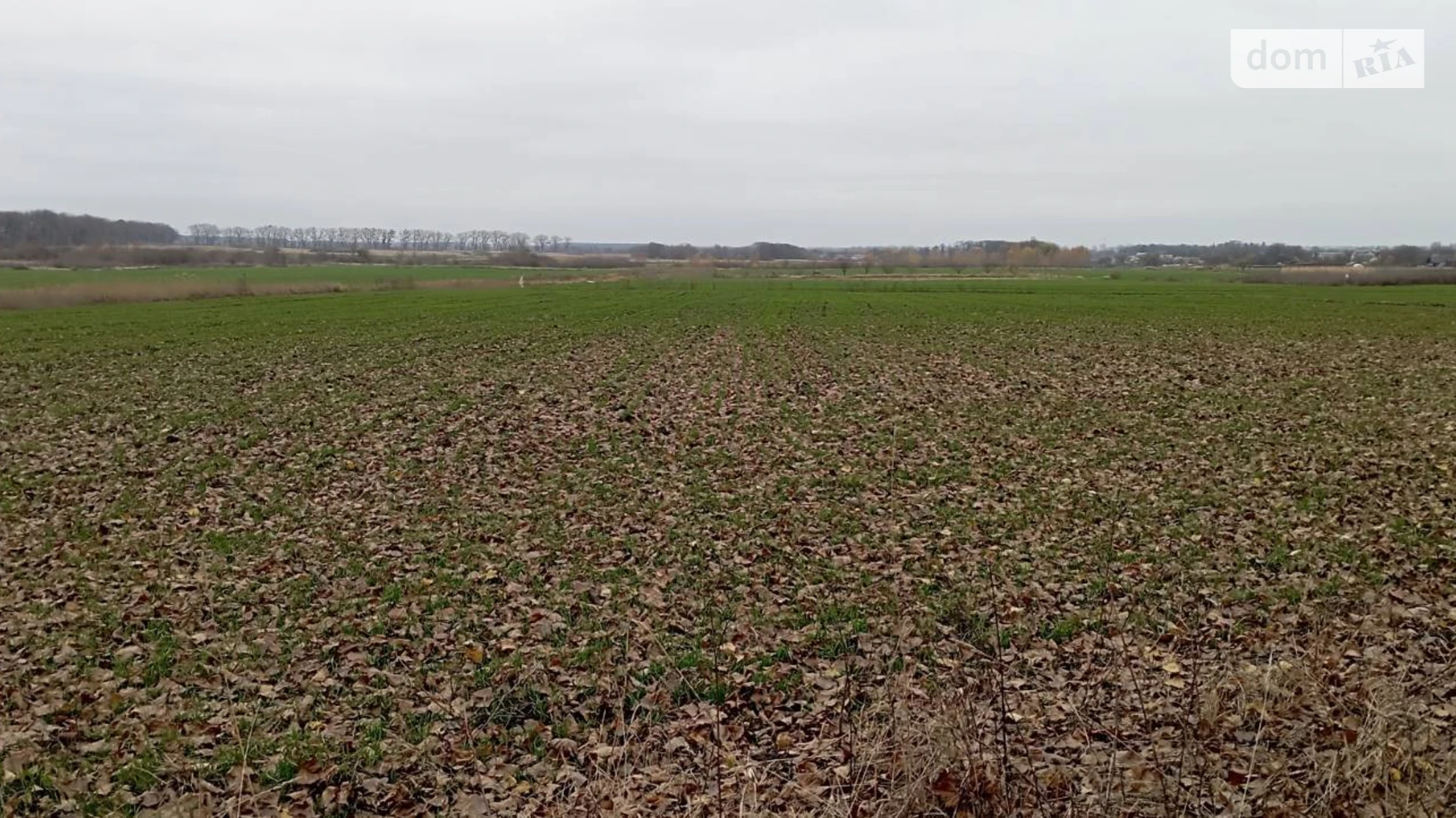 Продается земельный участок 20 соток в Винницкой области, цена: 14000 $ - фото 2