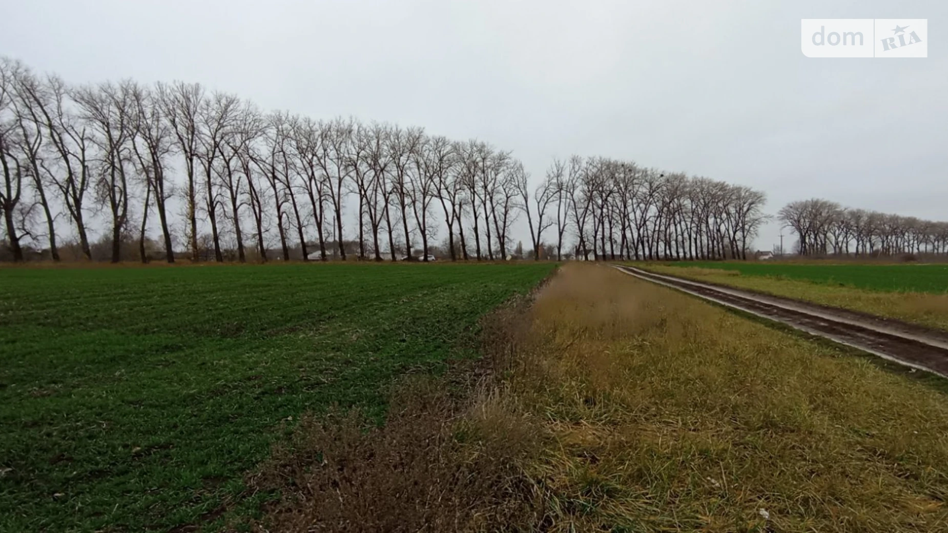 Продается земельный участок 20 соток в Винницкой области, цена: 14000 $ - фото 3