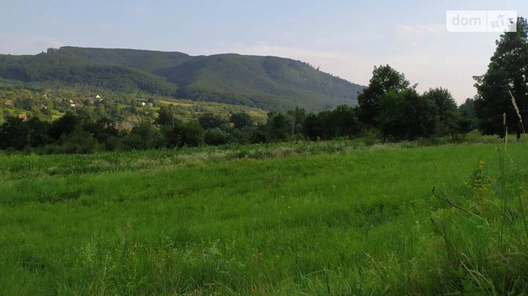 Продается земельный участок 10 соток в Закарпатской области, цена: 9850 $ - фото 5