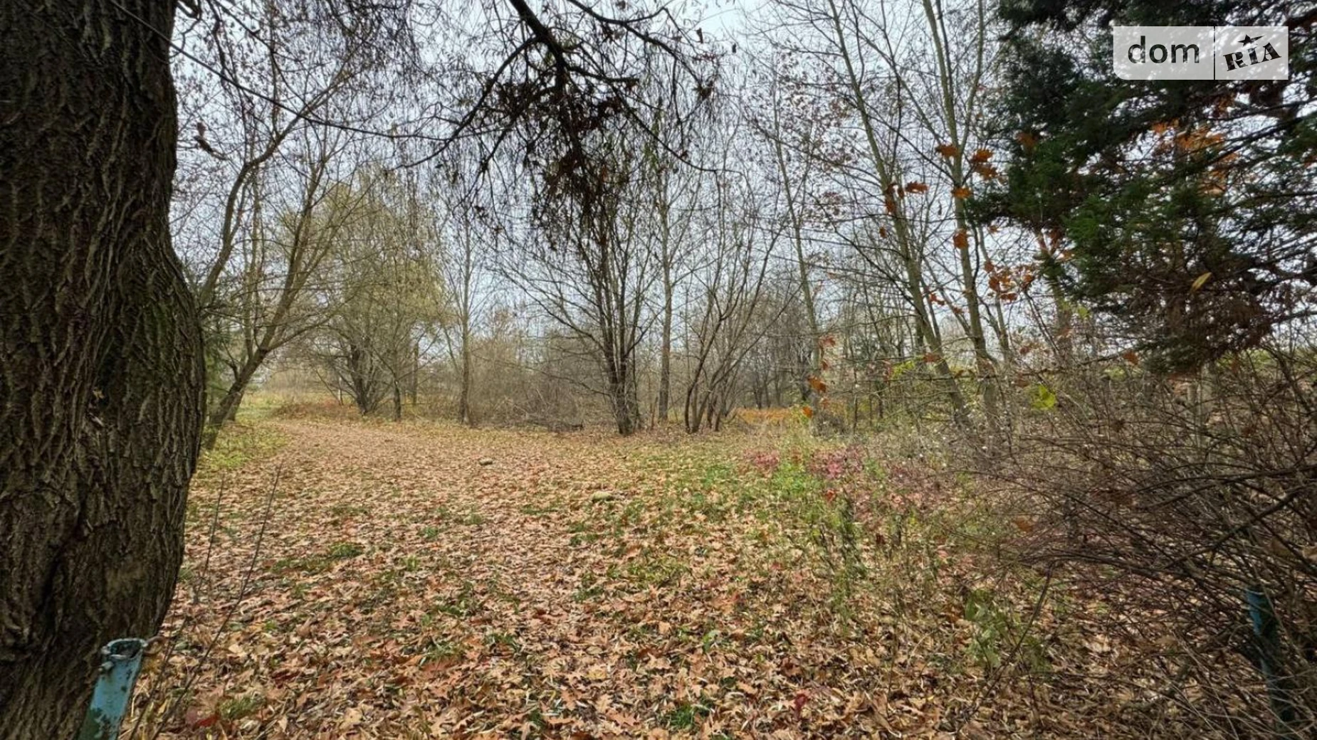 Продается земельный участок 27.57 соток в Ивано-Франковской области, цена: 60000 $ - фото 3