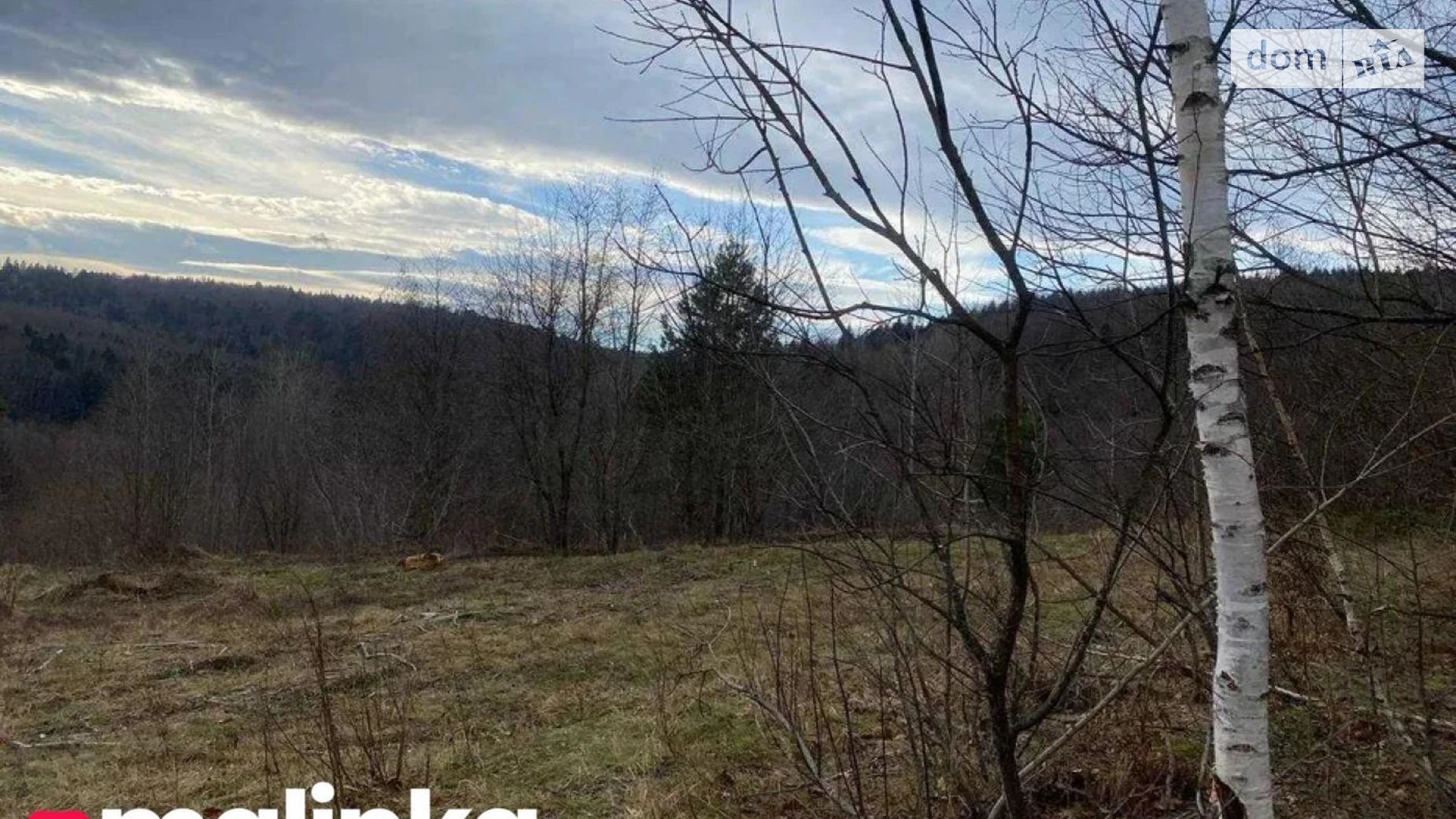 Продается земельный участок 32 соток в Львовской области, цена: 32000 $ - фото 2