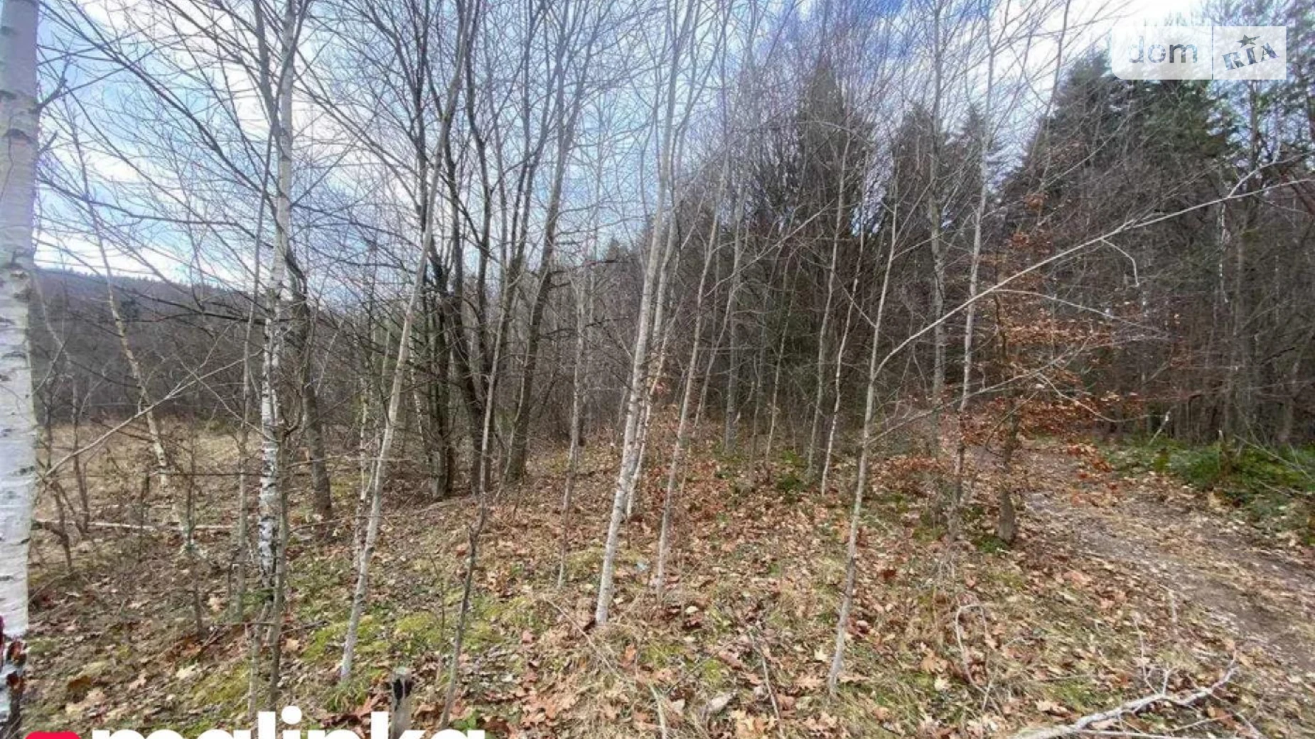 Продается земельный участок 32 соток в Львовской области, цена: 32000 $ - фото 4