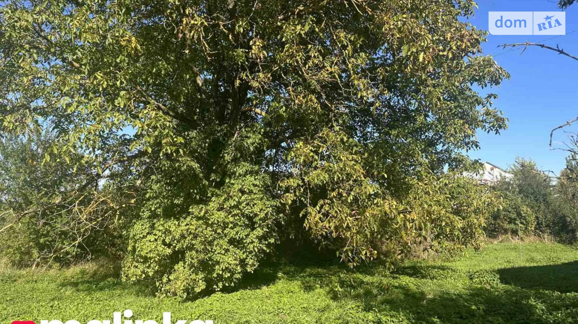 Продается земельный участок 42 соток в Львовской области, цена: 200000 $ - фото 5