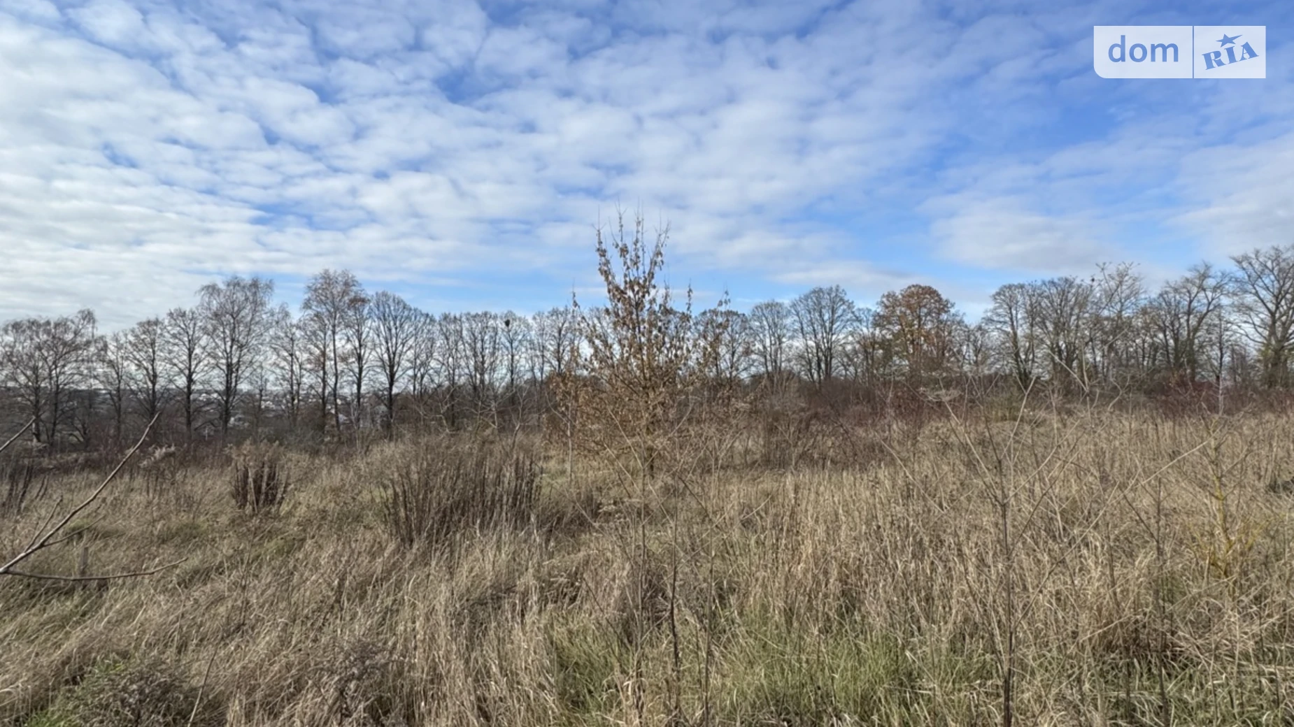 Продается земельный участок 9 соток в Тернопольской области, цена: 10000 $ - фото 2