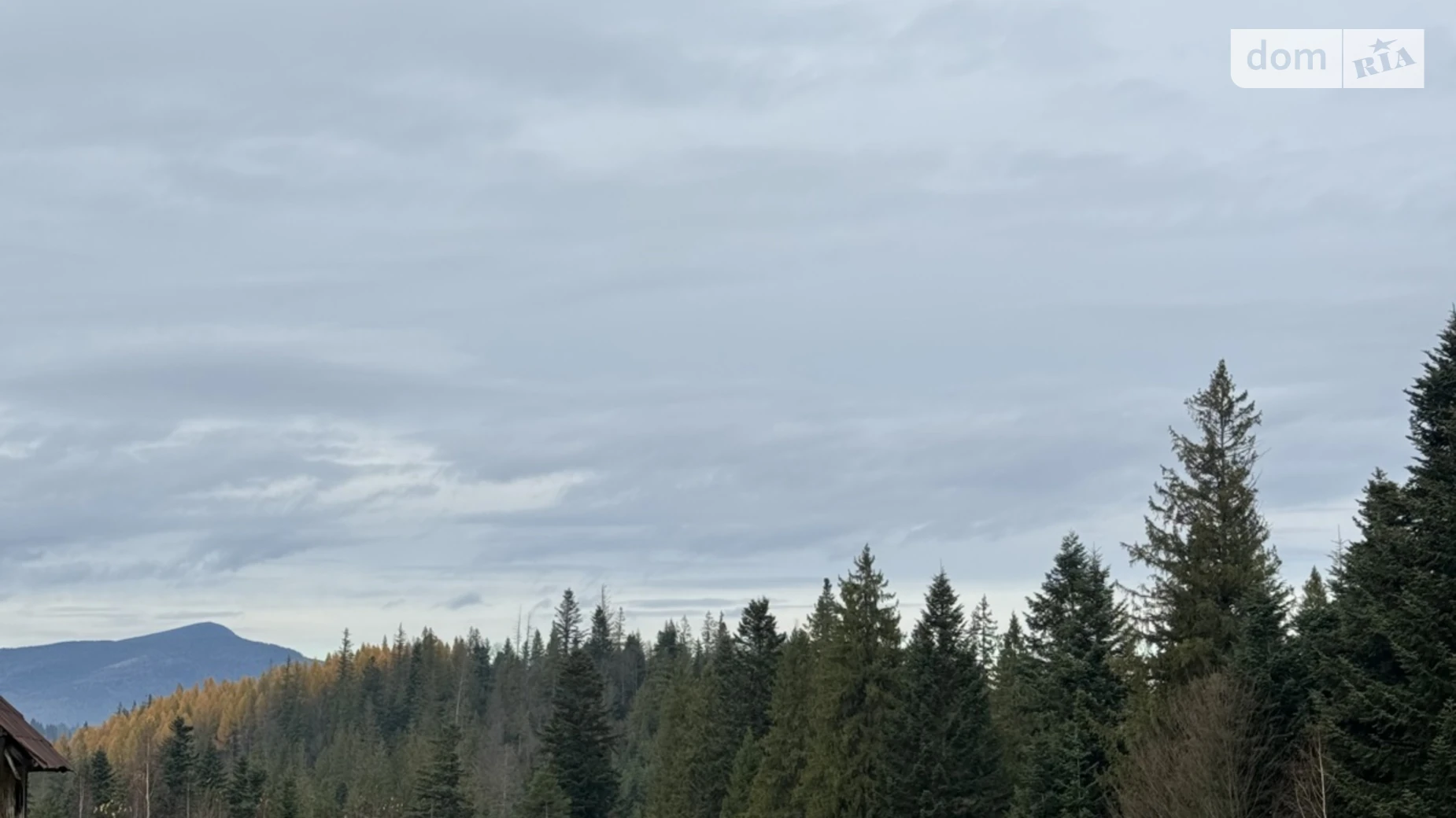 Продается земельный участок 53.33 соток в Ивано-Франковской области, цена: 185000 $ - фото 4