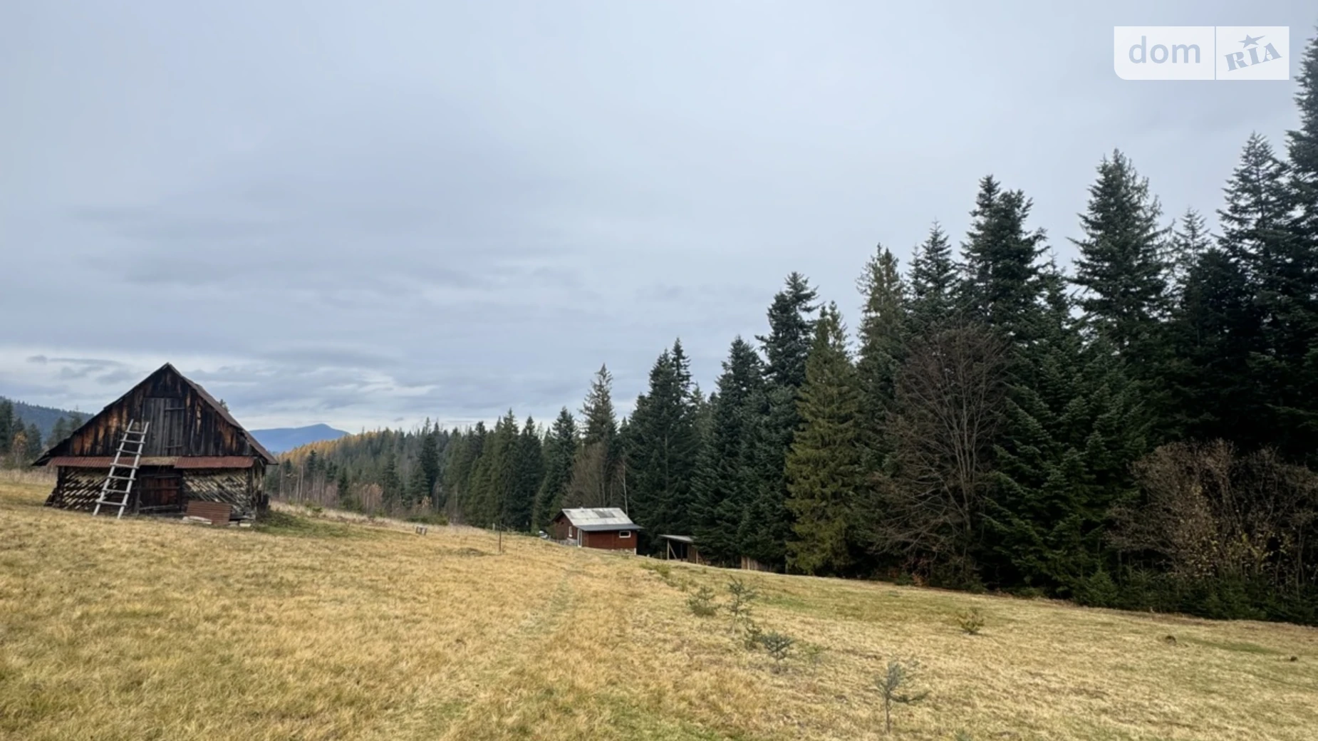 Продается земельный участок 53.33 соток в Ивано-Франковской области, цена: 185000 $ - фото 3