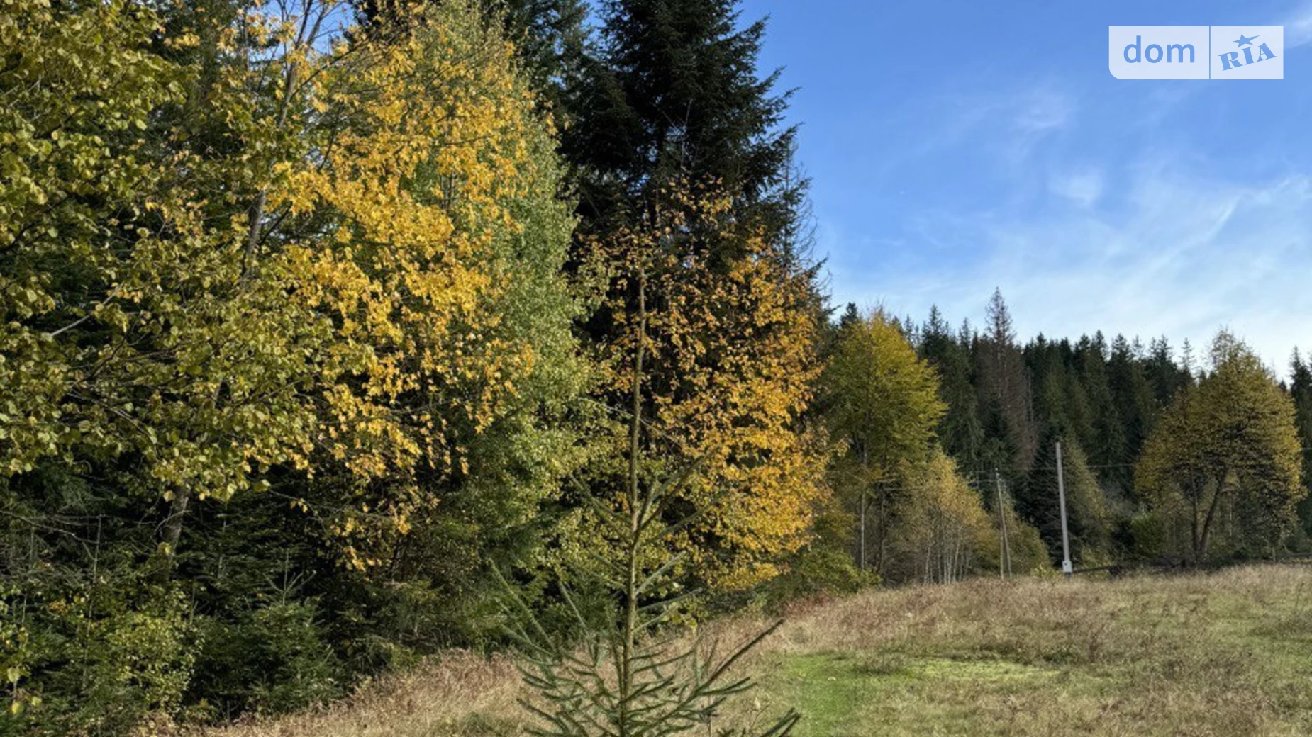 Продается земельный участок 53.33 соток в Ивано-Франковской области, цена: 185000 $ - фото 5