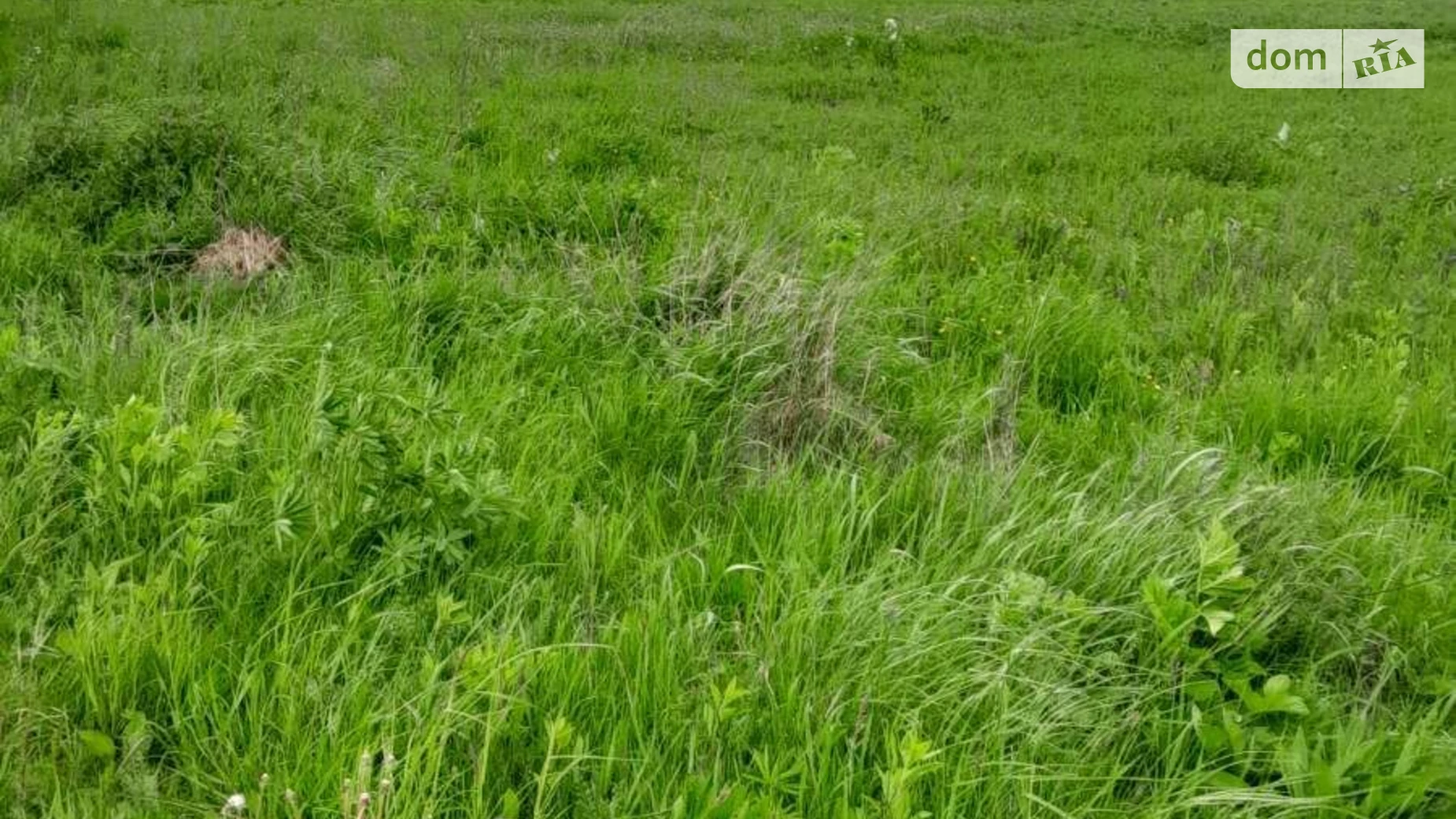 Гузеев, цена: 35110 грн - фото 2