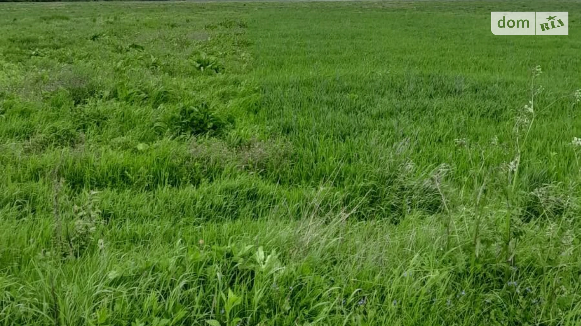 Гузеев, цена: 35110 грн - фото 3