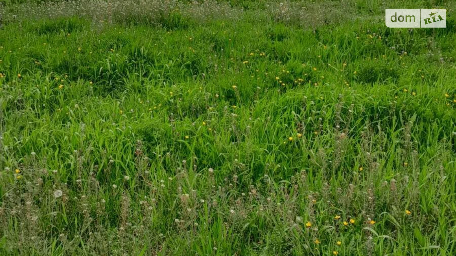 Болехов, цена: 1651 грн - фото 2