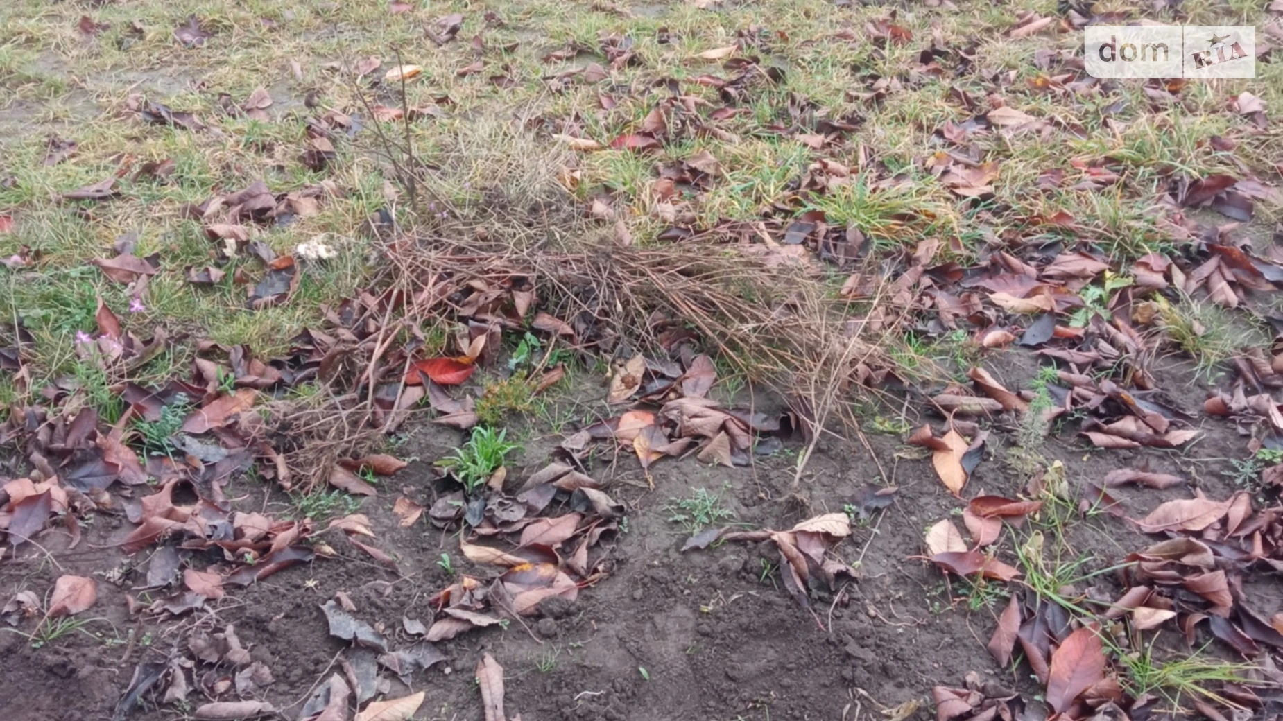 Продается земельный участок 6 соток в Хмельницкой области, цена: 20970 $ - фото 2