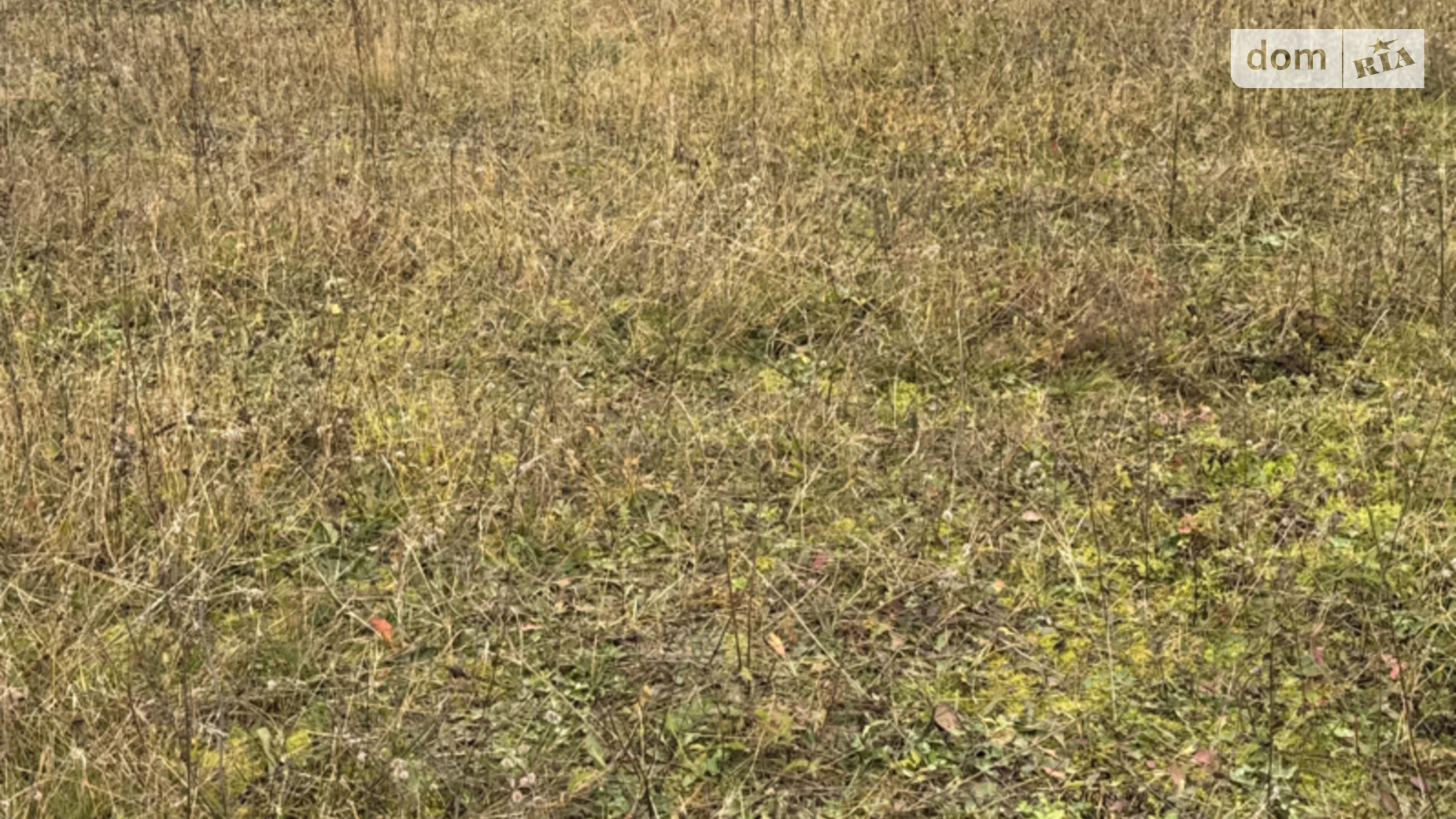 Продается земельный участок 9 соток в Винницкой области, цена: 11000 $ - фото 5