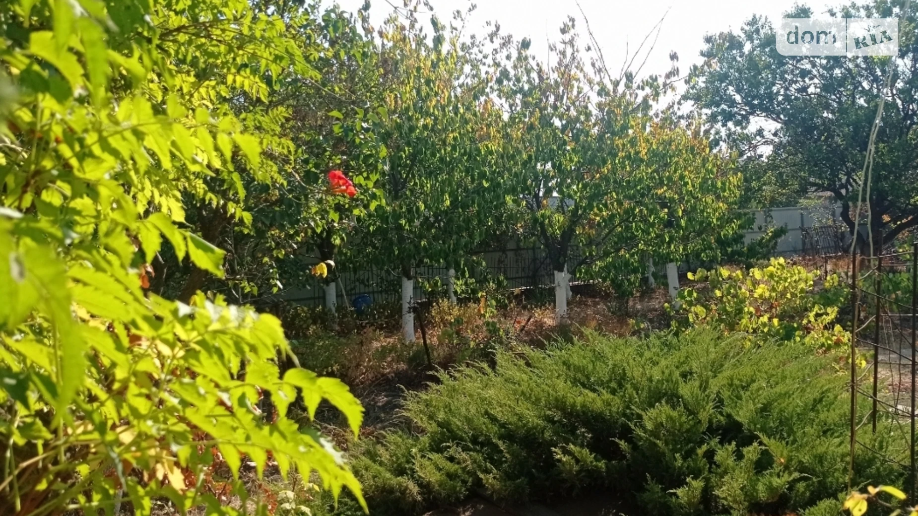 Продається земельна ділянка 6.15 соток у Одеській області, цена: 19000 $ - фото 4