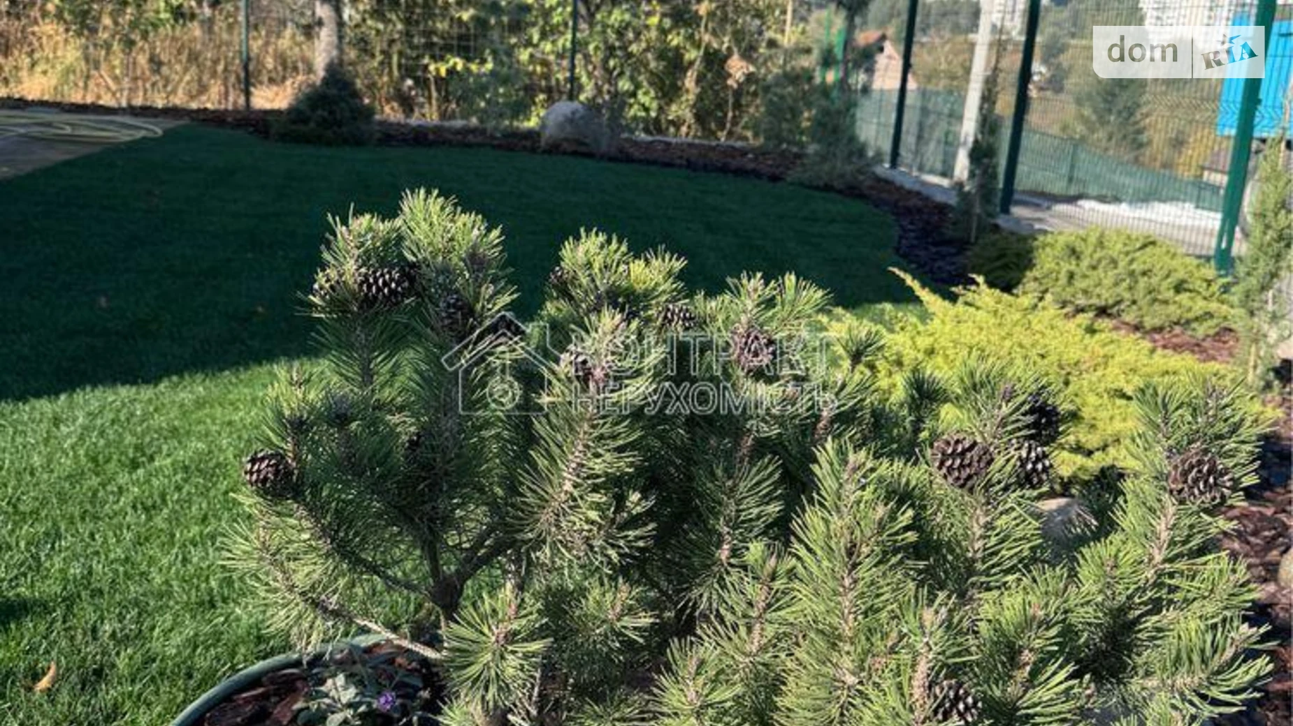 Сдается в аренду одноэтажный дом 60 кв. м с балконом, цена: 500 $ - фото 2