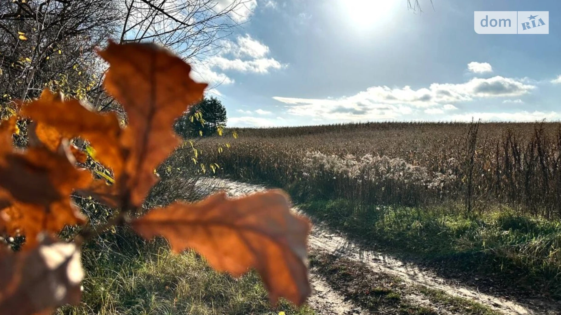 Продается земельный участок 3.11 соток в Киевской области, цена: 220000 $ - фото 5