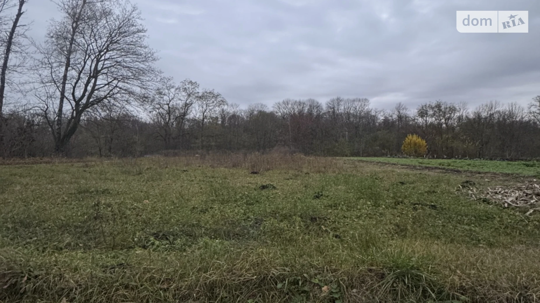 Продается земельный участок 10 соток в Тернопольской области, цена: 20000 $ - фото 4