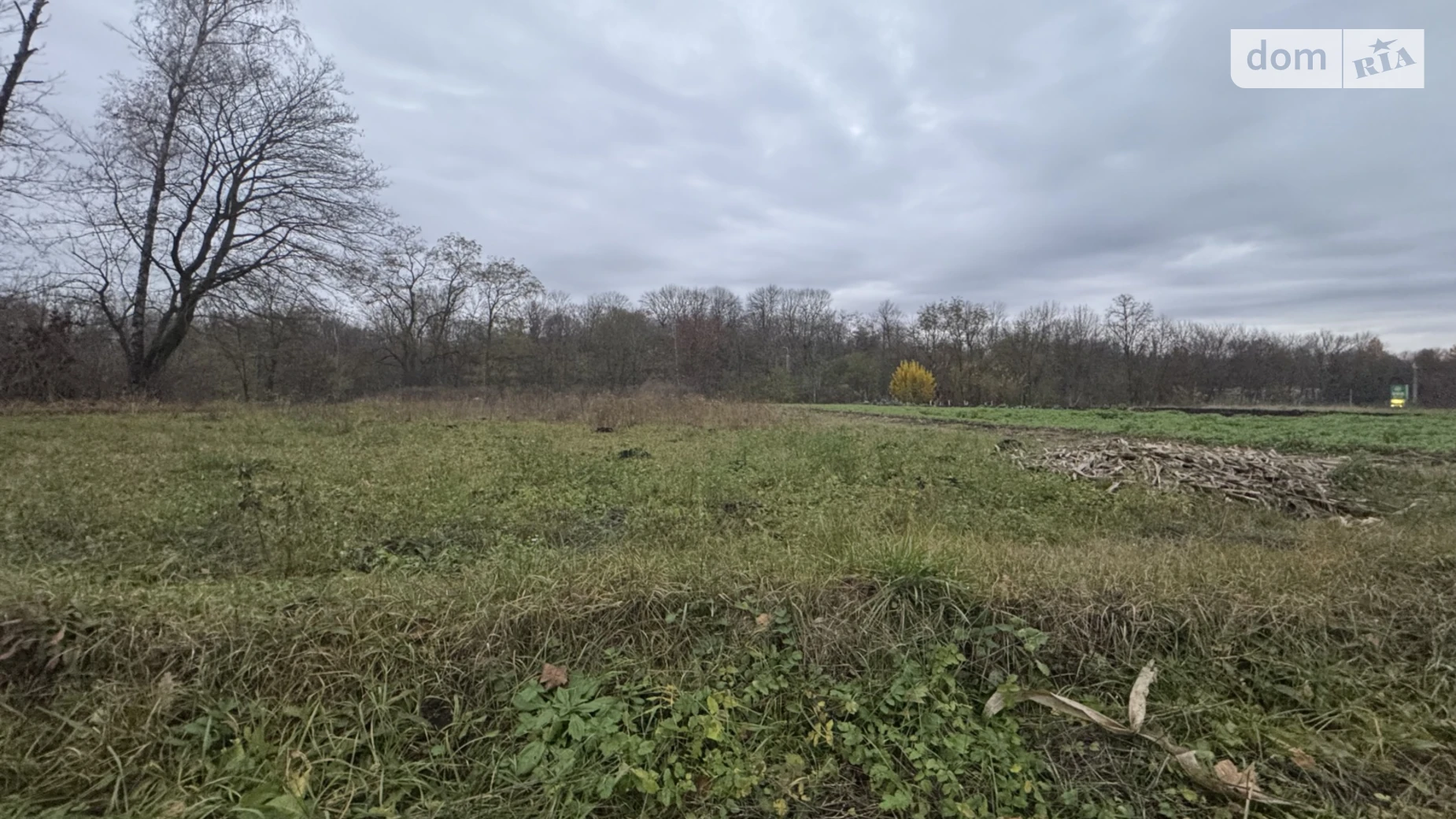 Продается земельный участок 10 соток в Тернопольской области, цена: 20000 $ - фото 5