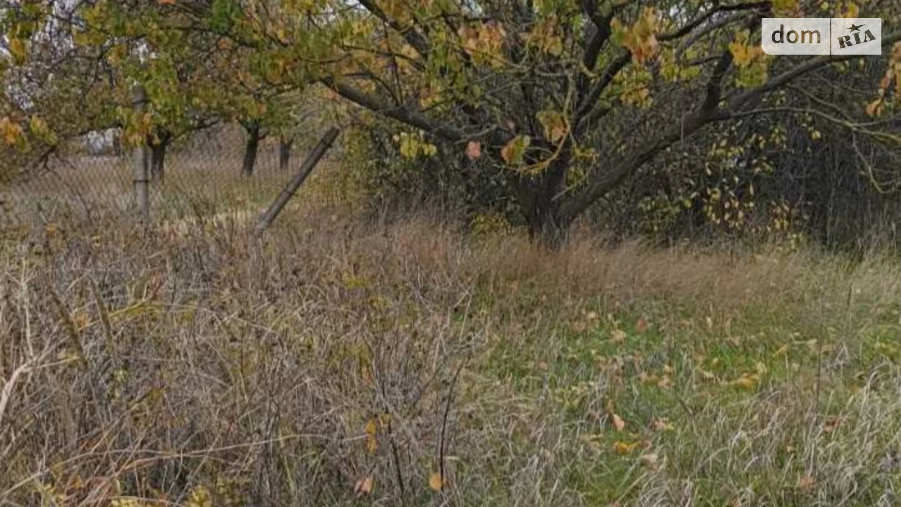 Продается земельный участок 17 соток в Одесской области, цена: 25000 $ - фото 2