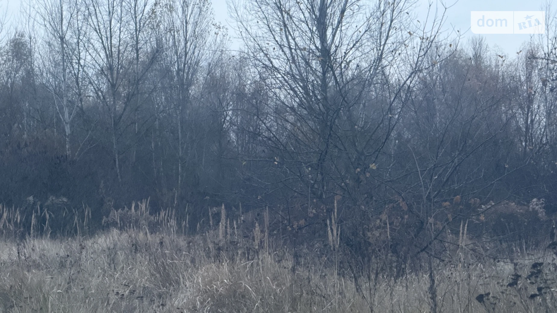 Продается земельный участок 10 соток в Киевской области, цена: 7000 $ - фото 2