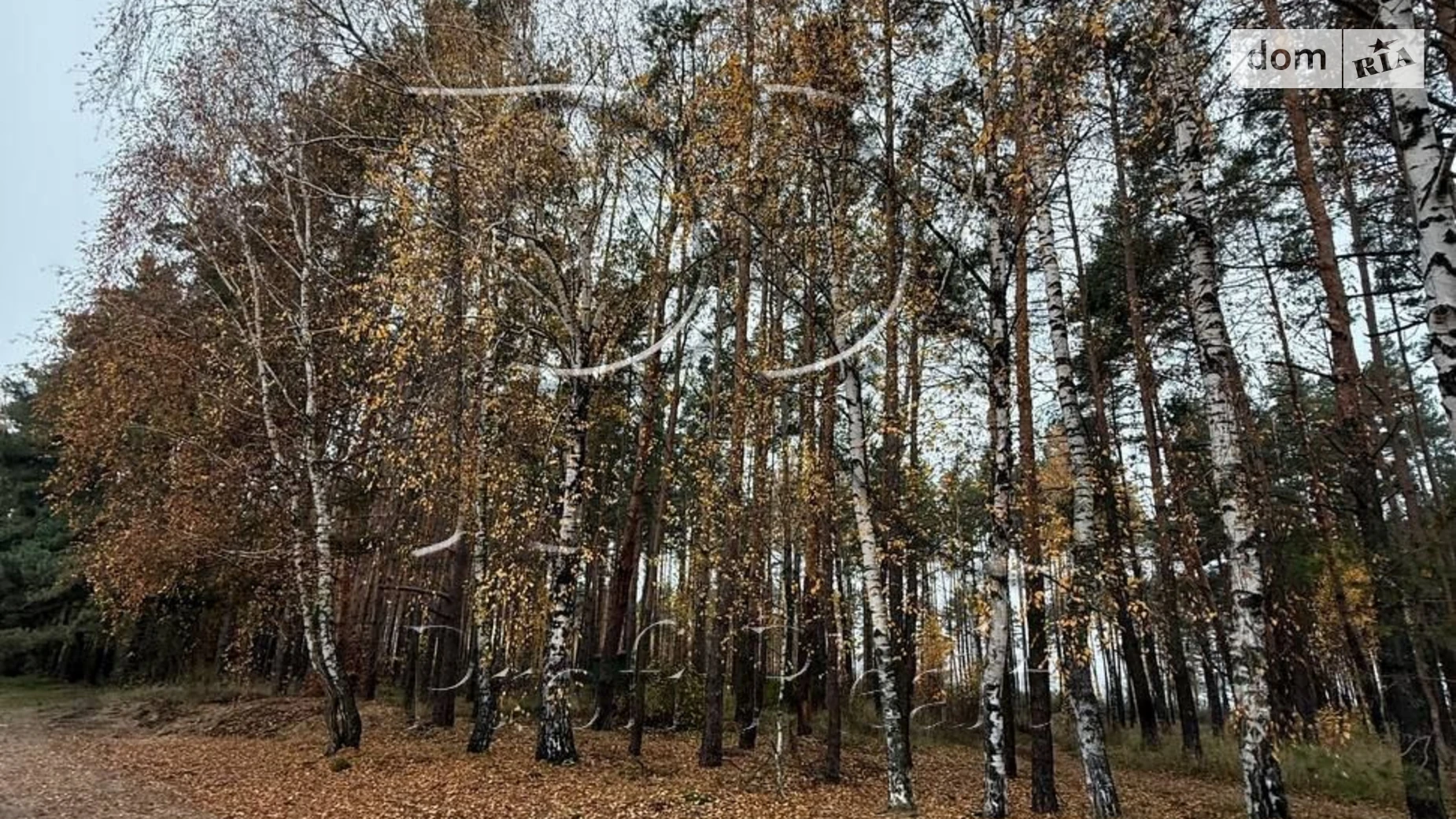 Продається земельна ділянка 11.99 соток у Київській області, цена: 29000 $ - фото 2