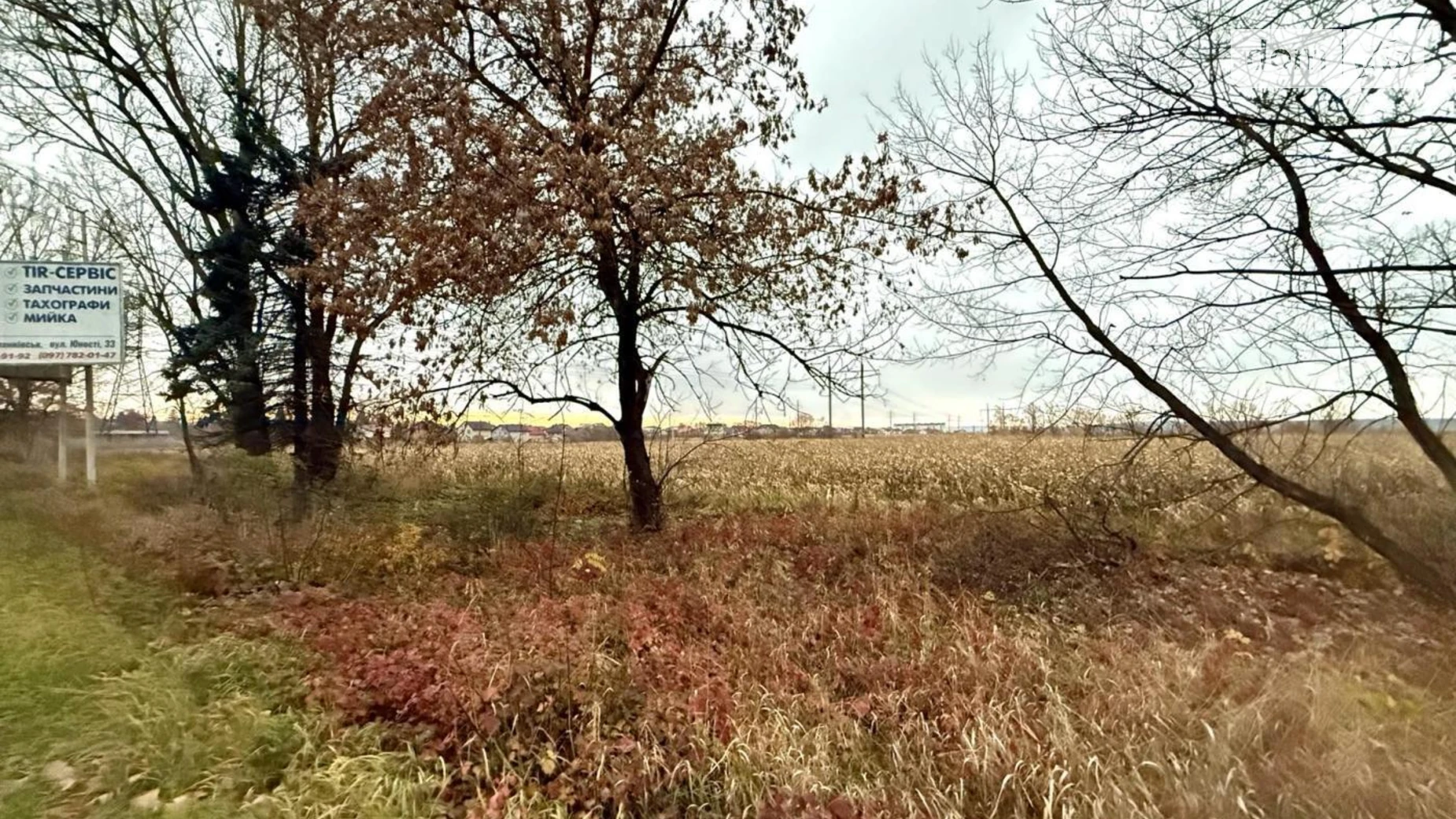 Продается земельный участок 19.81 соток в Ивано-Франковской области, цена: 50000 $ - фото 3