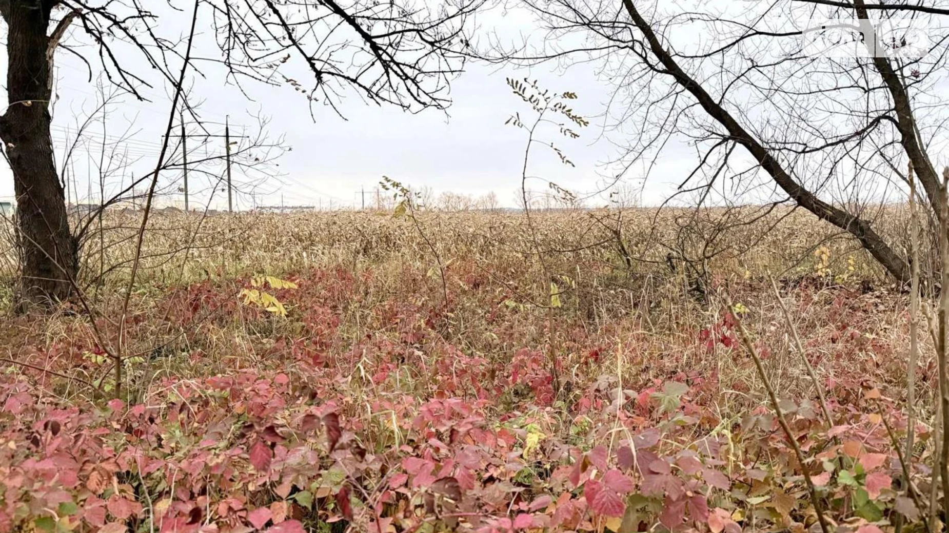 Продается земельный участок 19.81 соток в Ивано-Франковской области, цена: 50000 $ - фото 5