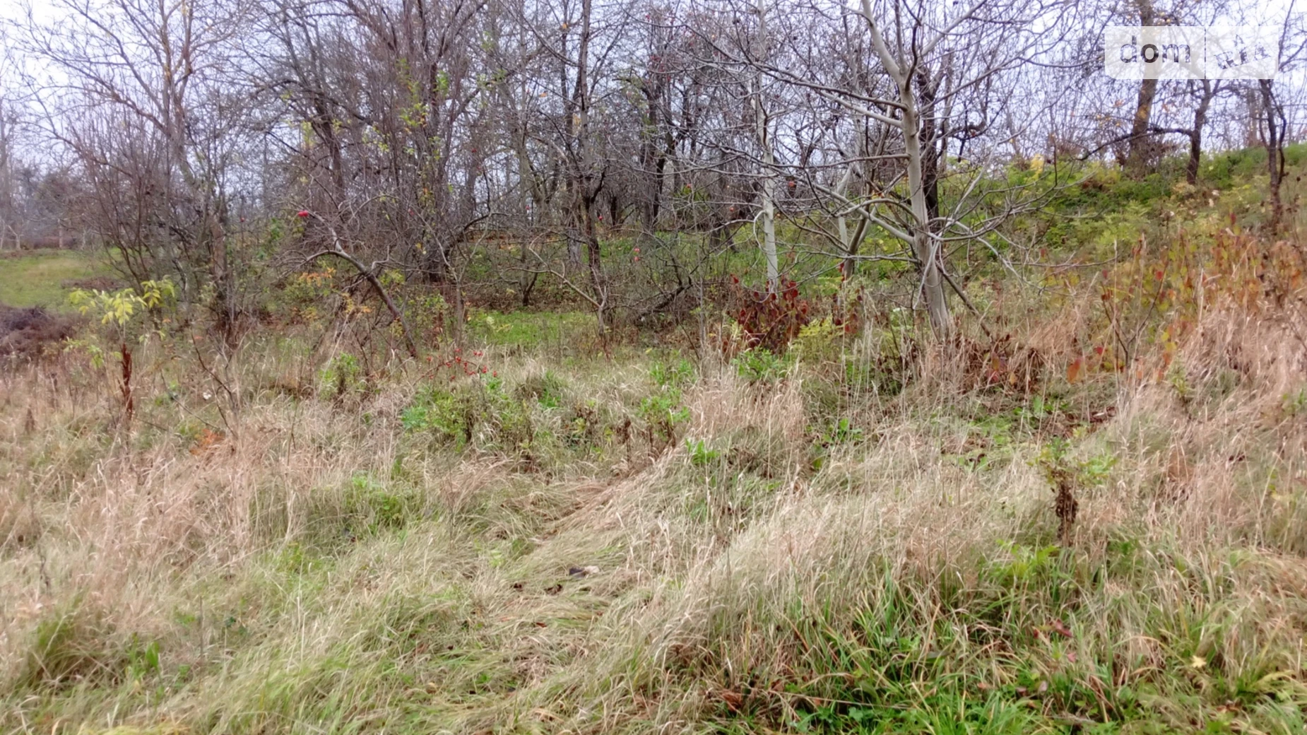 Продается земельный участок 42.68 соток в Хмельницкой области, цена: 3000 $ - фото 2