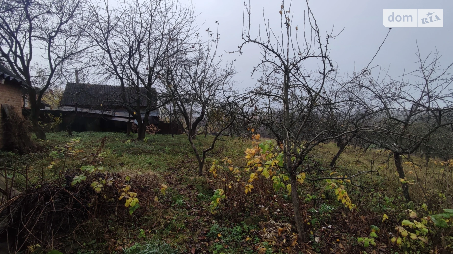 Продается земельный участок 60 соток в Винницкой области, цена: 62000 $ - фото 5