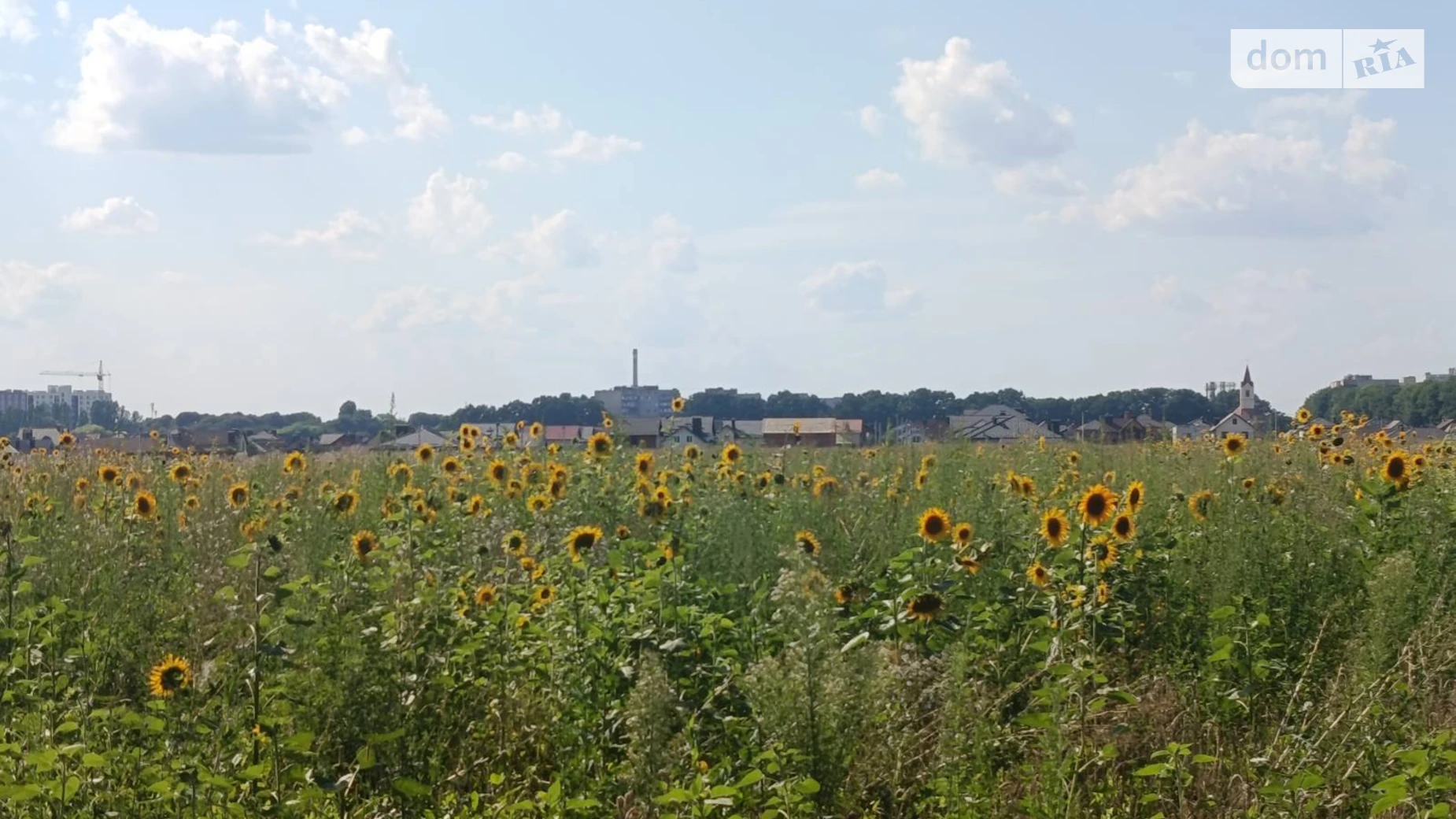 Продается земельный участок 6 соток в Винницкой области, цена: 17500 $ - фото 3