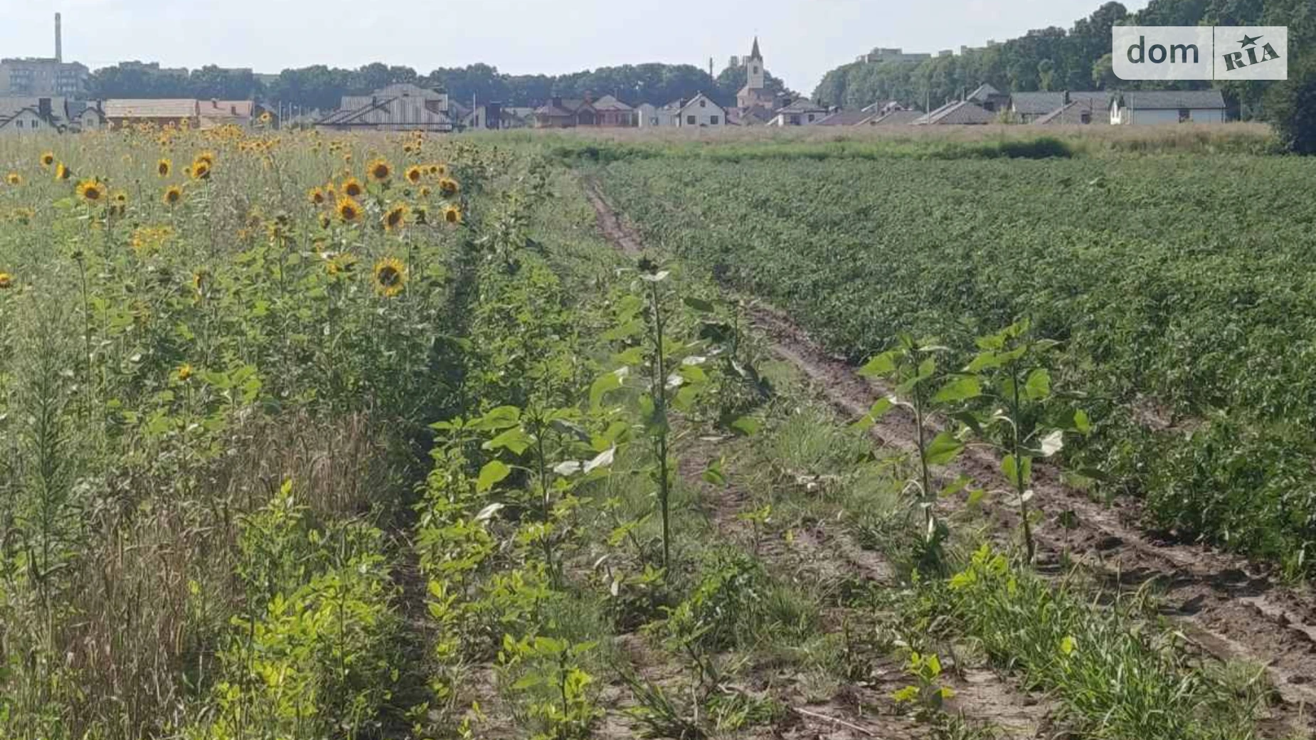 Продается земельный участок 6 соток в Винницкой области, цена: 17500 $ - фото 4