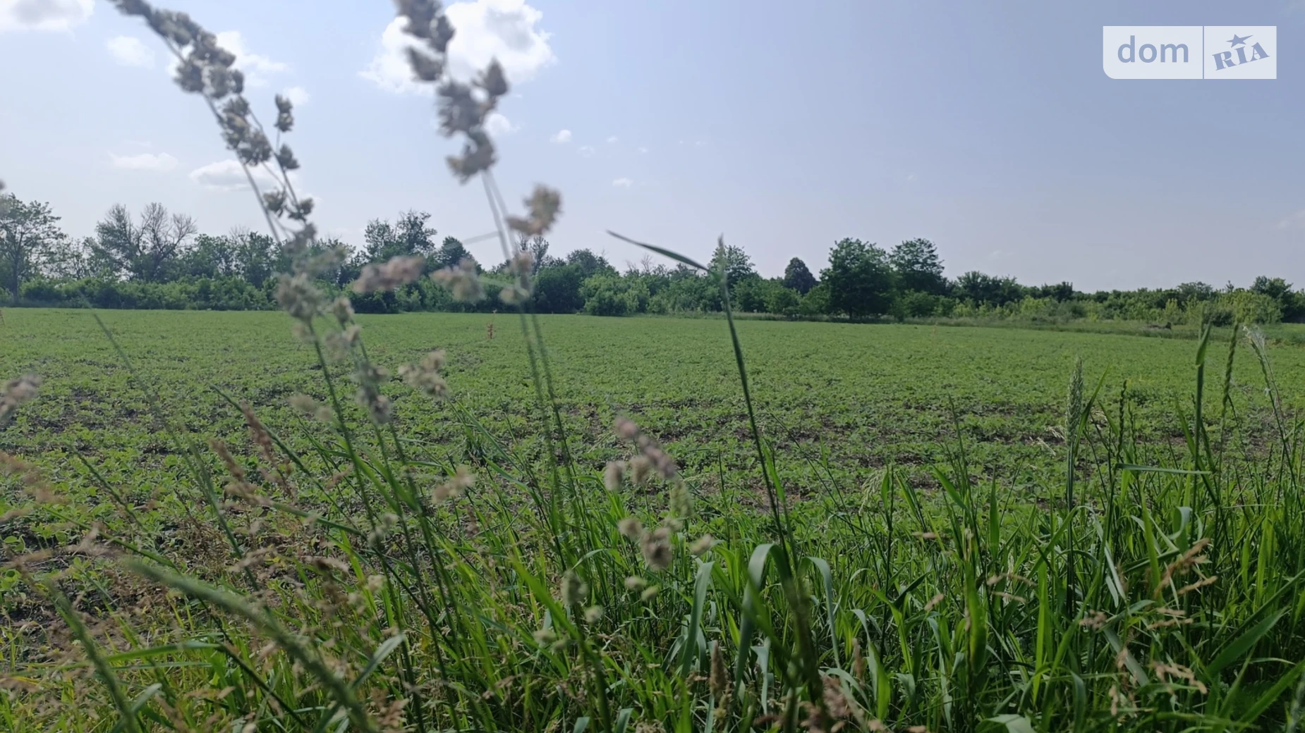 ул. Солнечная Гавришовка, цена: 11500 $ - фото 5