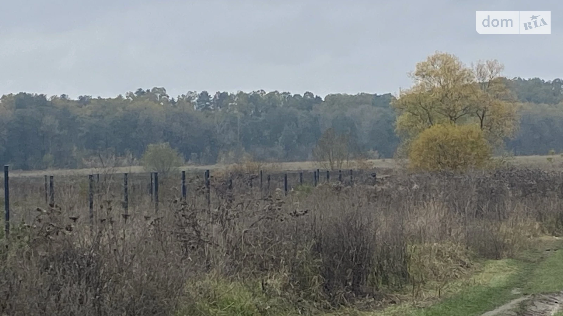 Селище (Тывров), цена: 7000 $ - фото 3