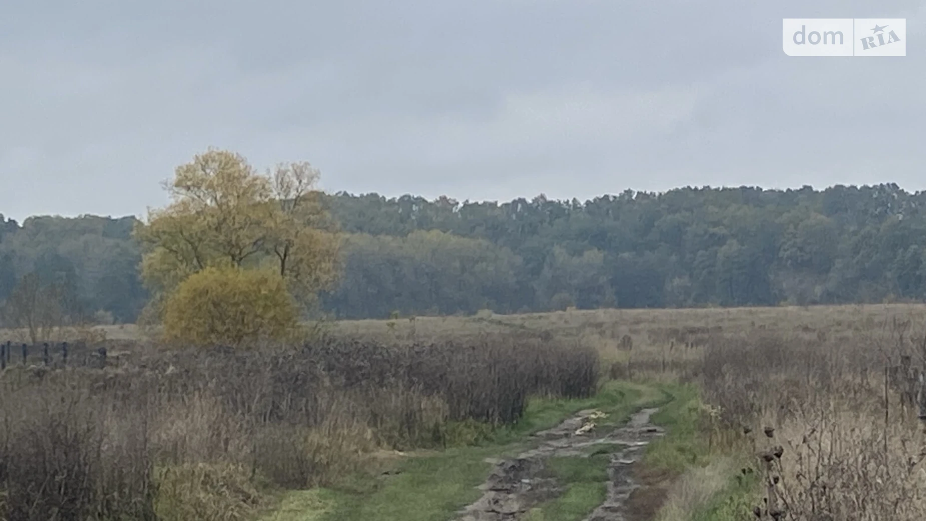 Селище (Тывров), цена: 7000 $ - фото 4