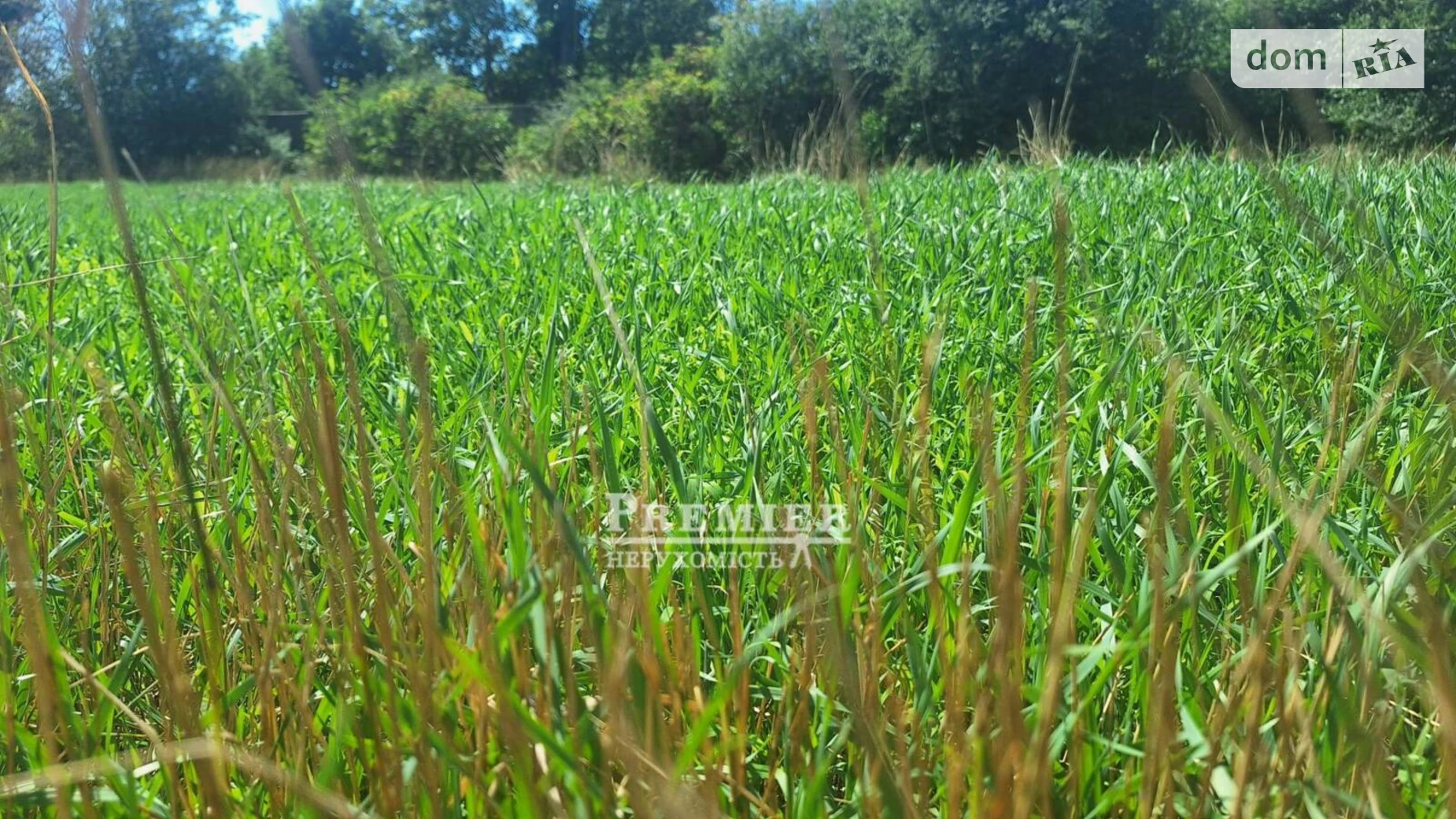 Продається земельна ділянка 11.26 соток у Одеській області, цена: 10900 $ - фото 2