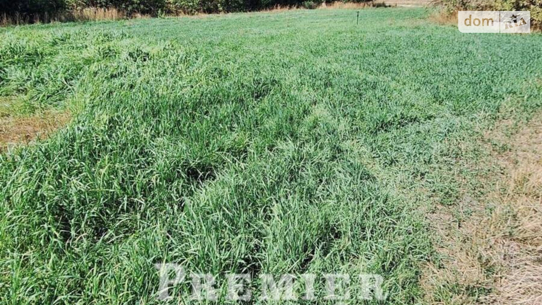 Продається земельна ділянка 11.26 соток у Одеській області, цена: 10900 $ - фото 5