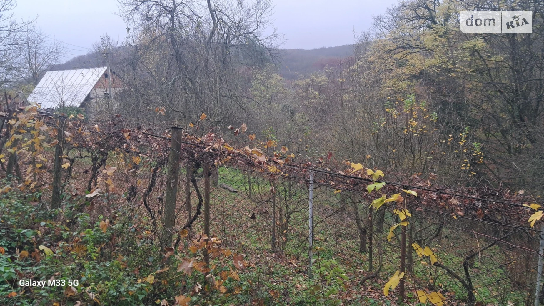 Продается земельный участок 4.8 соток в Закарпатской области, цена: 8000 $ - фото 3