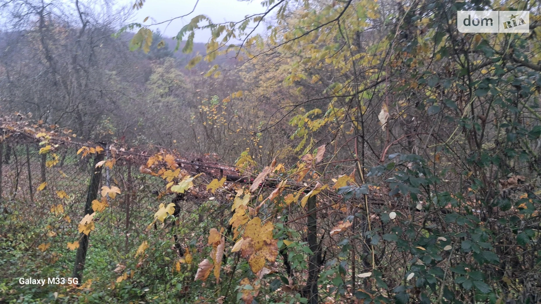 Продается земельный участок 4.8 соток в Закарпатской области, цена: 8000 $ - фото 4