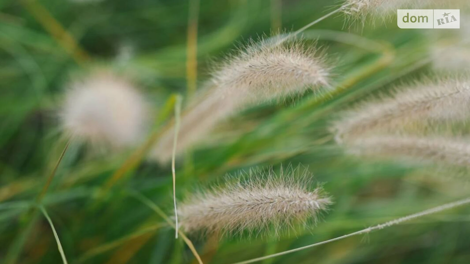 ул. Концовская Розовка ЖК Soho, цена: 127000 $ - фото 3