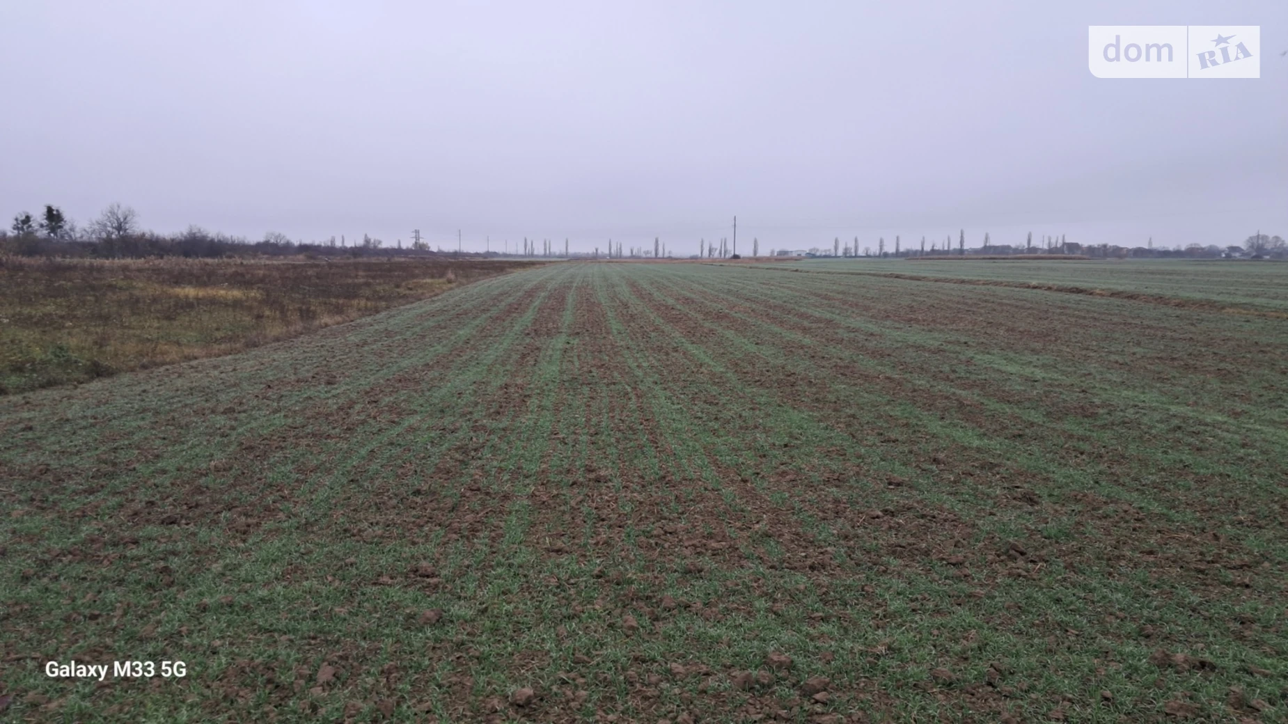 Продается земельный участок 44 соток в Закарпатской области, цена: 44000 $ - фото 5