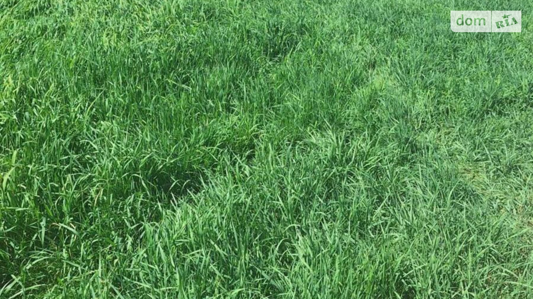 Продається земельна ділянка 11.26 соток у Одеській області, цена: 10900 $ - фото 2