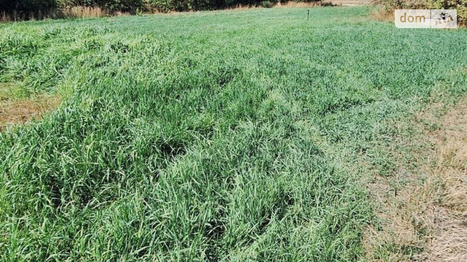 Продається земельна ділянка 11.26 соток у Одеській області, цена: 10900 $ - фото 4