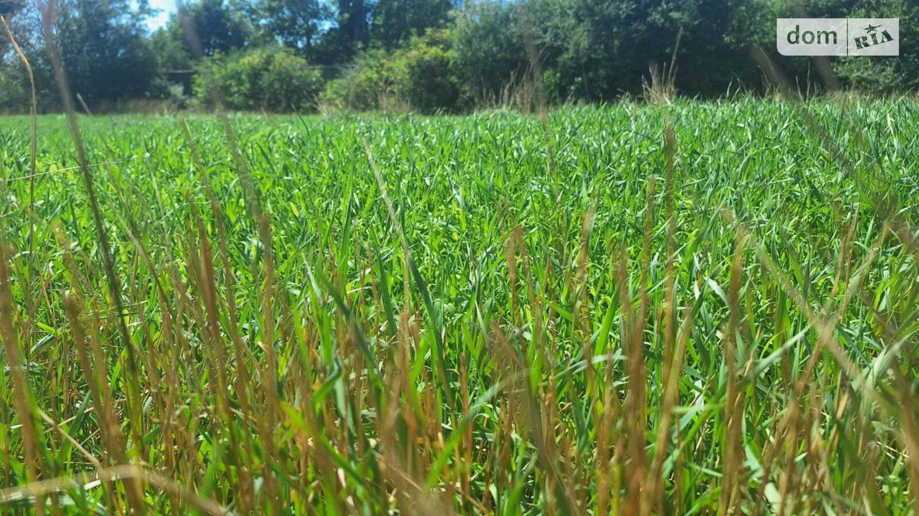 Продається земельна ділянка 11.26 соток у Одеській області, цена: 10900 $ - фото 5