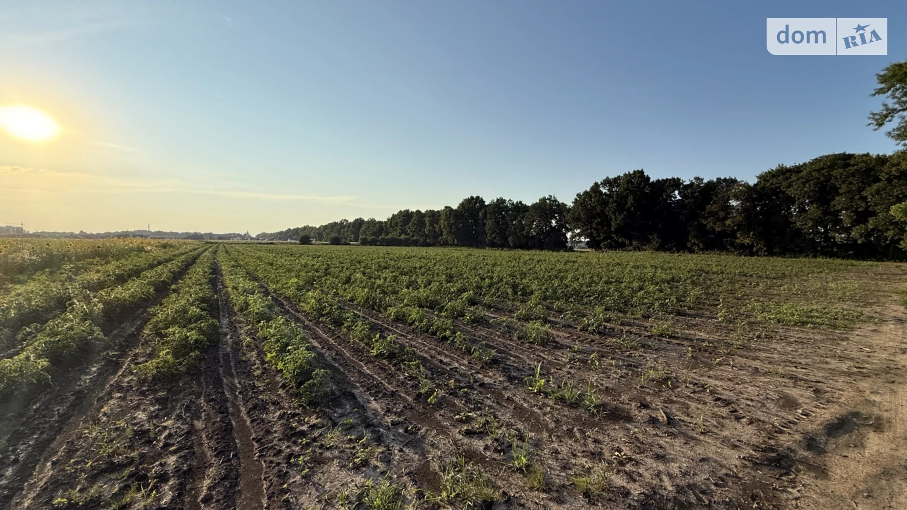 Продается земельный участок 6 соток в Винницкой области, цена: 17500 $ - фото 4