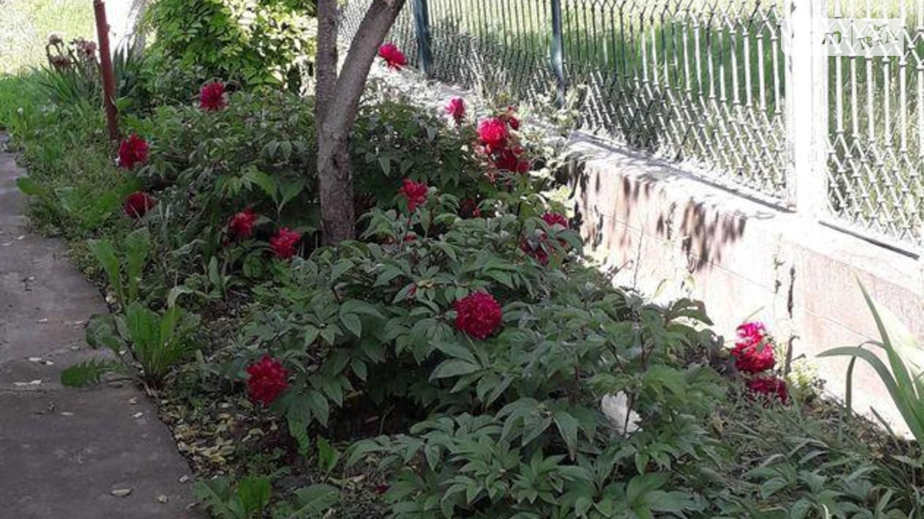 Сдается в аренду часть дома 92 кв. м с подвалом, цена: 6000 грн - фото 3