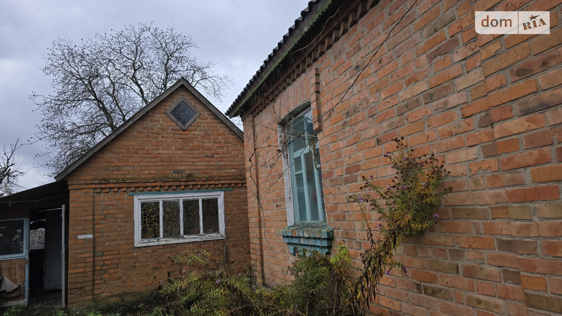 Продается одноэтажный дом 56.4 кв. м с садом, цена: 25000 $ - фото 3