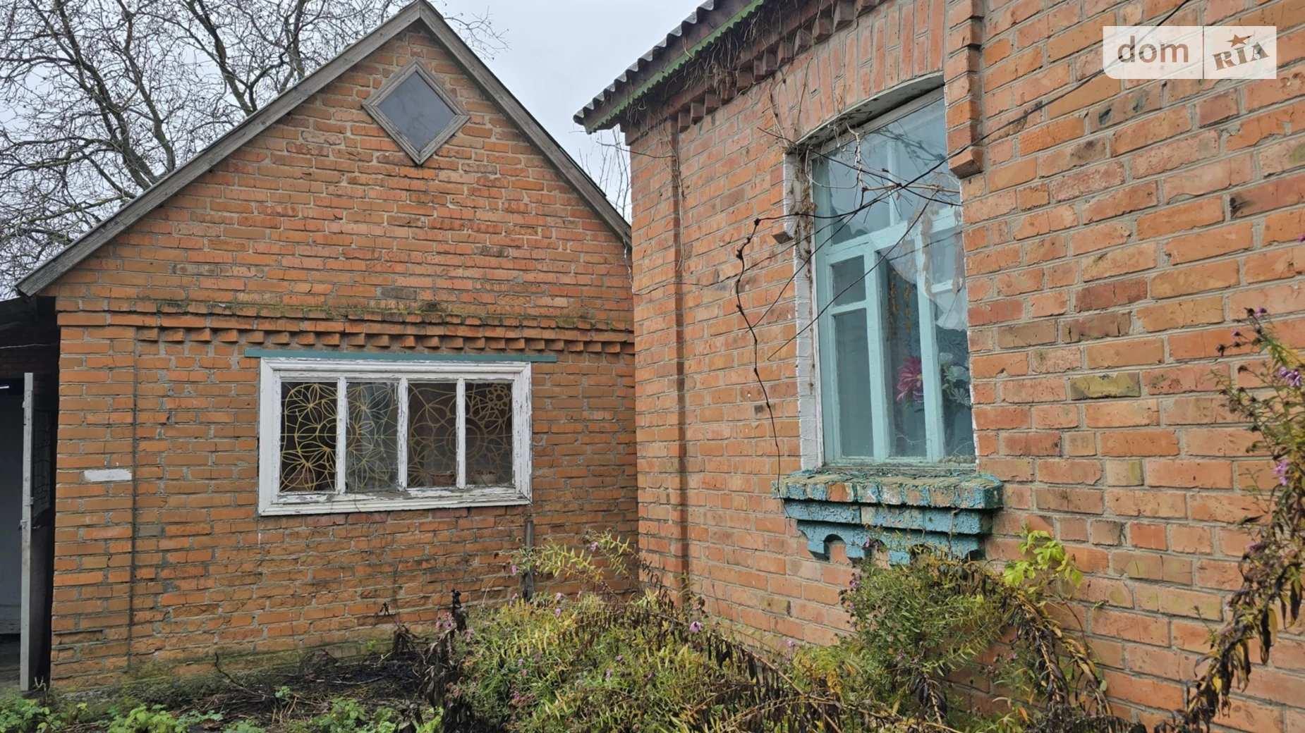 Продается одноэтажный дом 56.4 кв. м с садом, цена: 25000 $ - фото 4